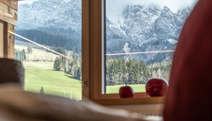 mountain panorama from the room