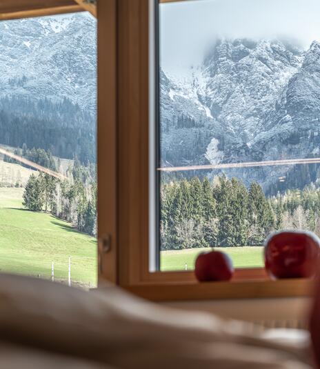 mountain panorama from the room