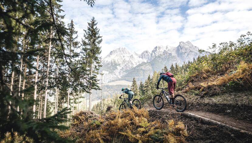 Schwarzleo trail Leogang