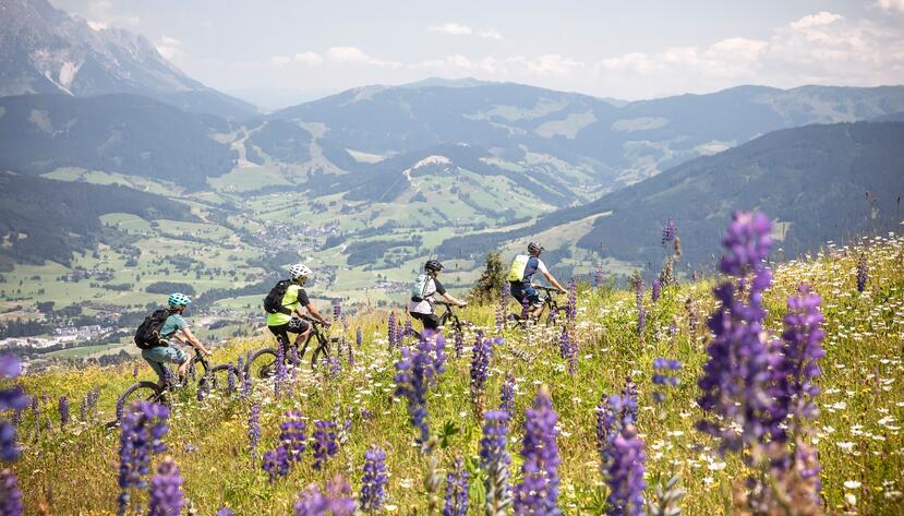 mountainbike tour Leogang